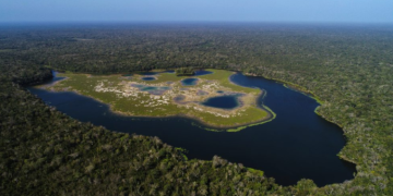 Reserva de la Biosfera Maya será monitoreada con drones./Foto: Conap.