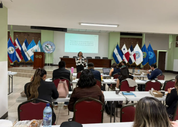 El MSPAS desarrolló un taller especializado dirigido a profesionales Químicos-Biólogos a cargo de laboratorios clínicos. (Foto: MSPAS)