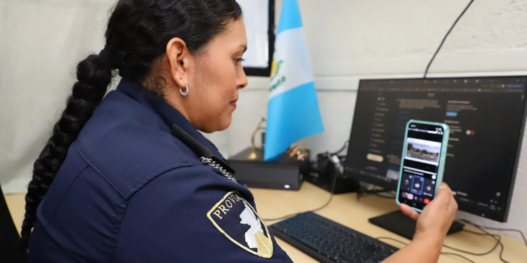 En el Día Internacional de la Educación Vial, Provial impulsa el aprendizaje y la responsabilidad en las carreteras. (Foto: Provial)