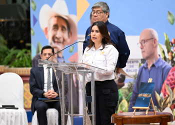 Viceministra de Antinarcóticos y Seguridad Fronteriza, Claudia Palencia. / Foto: Byron de la Cruz