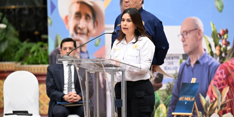 Viceministra de Antinarcóticos y Seguridad Fronteriza, Claudia Palencia. / Foto: Byron de la Cruz