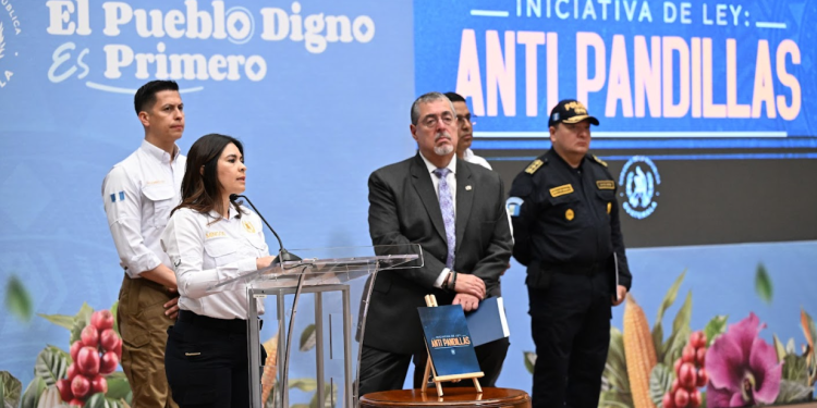 Viceministra de Antinarcóticos y Seguridad Fronteriza, Claudia Palencia. / Foto: Byron de la Cruz