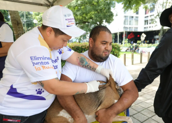 “Eliminemos juntos la rabia”: Inicio de campaña de vacunación para tus mascotas