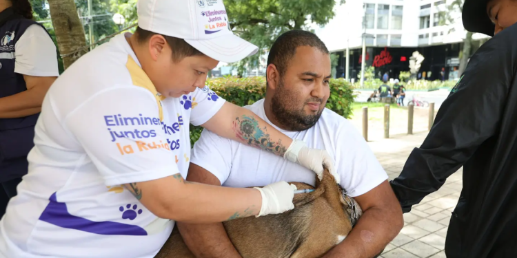 “Eliminemos juntos la rabia”: Inicio de campaña de vacunación para tus mascotas
