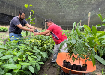Con estas acciones, el MAGA reafirma su papel como aliado estratégico del desarrollo rural sostenible. / Foto: MAGA