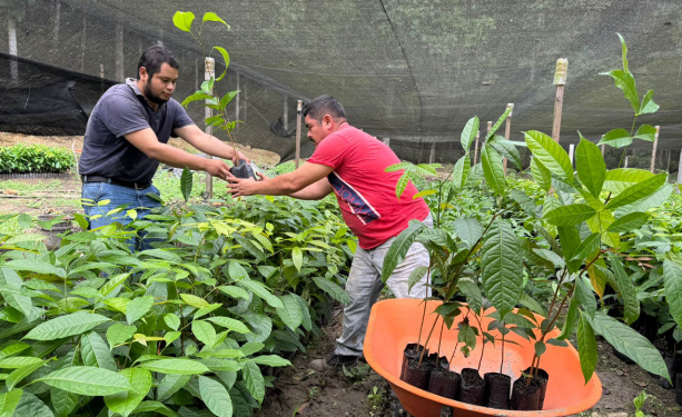 Con estas acciones, el MAGA reafirma su papel como aliado estratégico del desarrollo rural sostenible. / Foto: MAGA