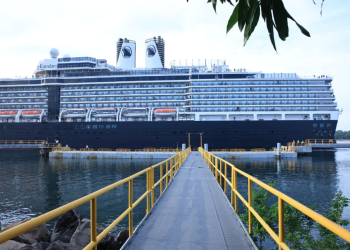 Estas acciones buscan garantizar que el ingreso de personas y mercancías no comprometa la bioseguridad nacional. / Foto: MAGA.