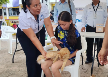 Campaña de vacunación contra la rabia llega a diferentes puntos del país. (Foto: MSPAS)