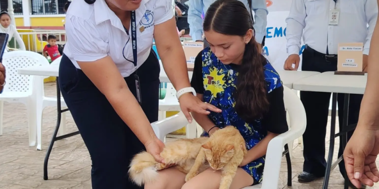 Campaña de vacunación contra la rabia llega a diferentes puntos del país. (Foto: MSPAS)