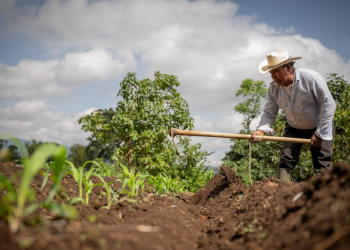 El crédito Tob’anik representa una herramienta clave para reactivar la economía rural. / Foto: Álvaro Interiano.