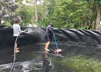 El fortalecimiento del sector acuícola representa una alternativa viable de generación de ingresos y empleo para las familias. / Foto: MAGA