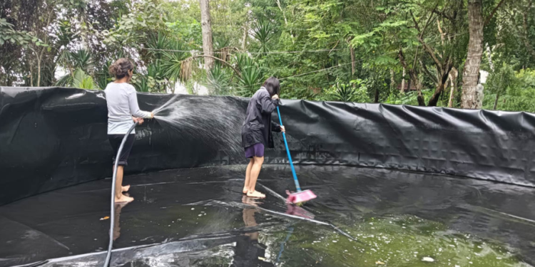 El fortalecimiento del sector acuícola representa una alternativa viable de generación de ingresos y empleo para las familias. / Foto: MAGA