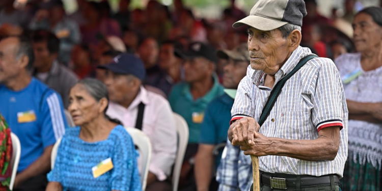 PAM y Bono Social amplían su cobertura en Panzós, Alta Verapaz./Foto: SCSP.