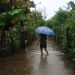 Los suelos saturados facilitan la ocurrencia de inundaciones durante las lluvias. / Foto: Conred.