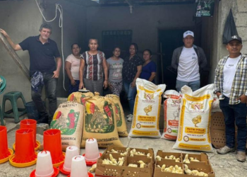 MAGA entregó pollos de engorde en Petén/:Foto: MAGA.