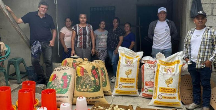 MAGA entregó pollos de engorde en Petén/:Foto: MAGA.