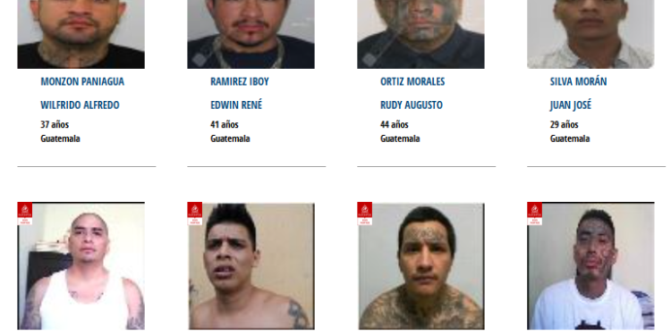 Esto permite que los 196 países miembros colaboren en su localización. / Foto: Interpol