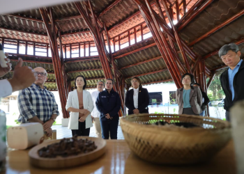 El fortalecimiento de la industria del bambú representa un paso importante hacia un modelo económico más sostenible y ecológico. / Foto: MAGA