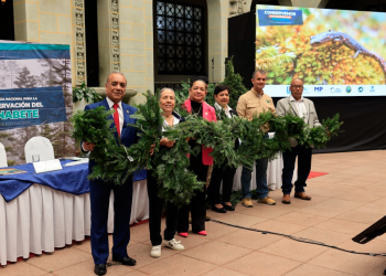 Lanzan la Campaña Nacional para la Conservación del Pinabete. (Foto: Noé Pérez )