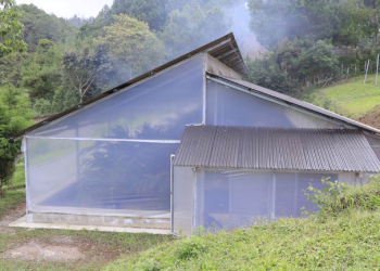 El programa se centra en la prestación de servicios esenciales para mejorar los procesos de producción. / MAGA.