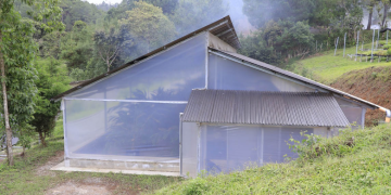 El programa se centra en la prestación de servicios esenciales para mejorar los procesos de producción. / MAGA.