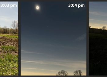 Estudio que se efectuó durante el eclipose total de Sol de 2004 registró los cambios de comportamiento de algunas aves a causa de la oscuridad.