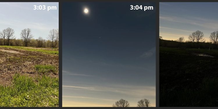 Estudio que se efectuó durante el eclipose total de Sol de 2004 registró los cambios de comportamiento de algunas aves a causa de la oscuridad.