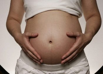 Bacteria probiótica presente en la microbiota intestinal materna favorece el desarrollo fetal.