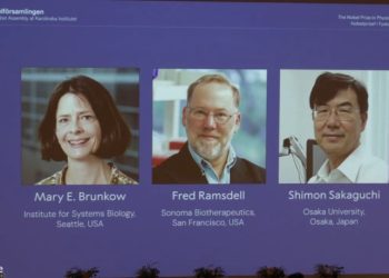 Mary E. Brunkow, Fred Ramsdell y al japonés Shimon Sakaguchi, galardonados con el Nobel de Medicina 2025.