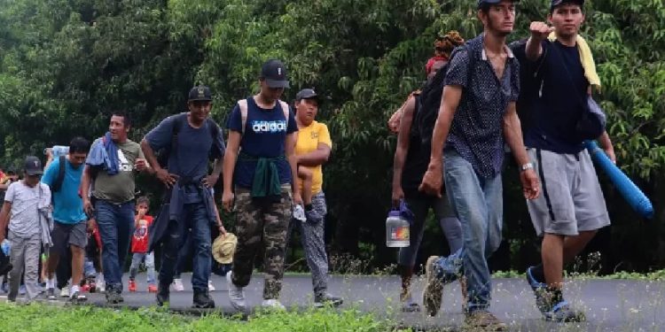 La ola migratoria durante la pandemia de covid-19 motivo el incrementó en 3 millones la población migrante indocumentada en Estados Unidos