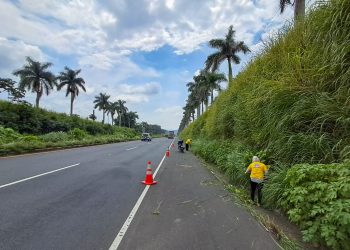 Limpian la autopista Palín–Escuintla: retiran maleza y basura de la carretera. / Foto: Covial.