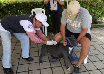 “Eliminemos juntos la rabia”: mascotas son vacunadas en inicio de campaña de vacunación. Foto: MSPAS