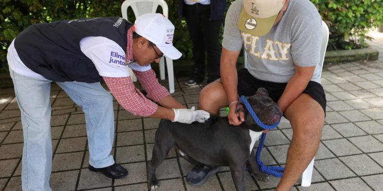 “Eliminemos juntos la rabia”: mascotas son vacunadas en inicio de campaña de vacunación. Foto: MSPAS