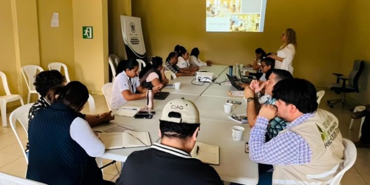 Instituciones coordinan avances en certificación y ejecución de proyectos Codede Petén