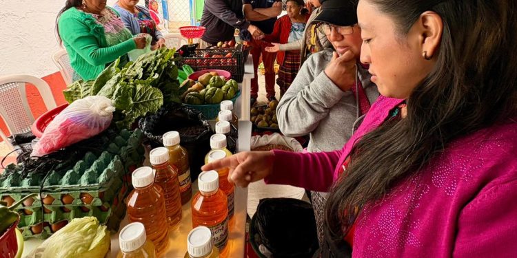 Éxito rotundo en la II Feria del Agricultor en los municipios de San Cristóbal y Totonicapán