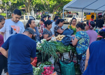 Estas ferias han recorrido los diferentes departamentos del país. / Foto: MAGA.