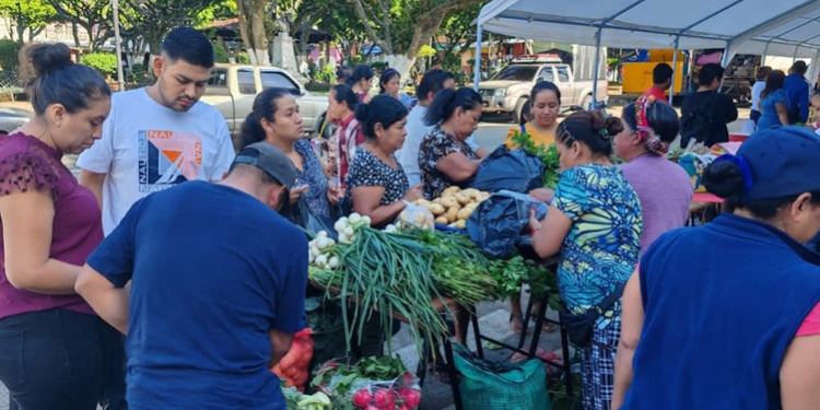 Estas ferias han recorrido los diferentes departamentos del país. / Foto: MAGA.