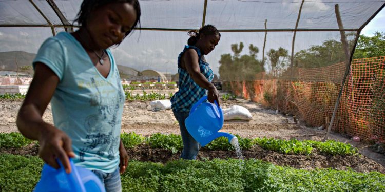 El IICA afirma que la agricultura es la única actividad que, al tiempo que produce, puede capturar carbono en el suelo.