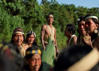 El 40 % del Amazonía que está intacto hoy en día está en territorios indígenas, lo que es un valor agregado para la humanidad.