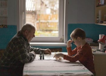 Estudio revela que el cerebro pasa por cinco etapas a lo largo de la vida.