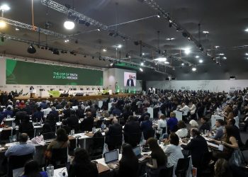 La COP30 empezó este jueves en la ciudad de Belém, en la amazonía brasileña.