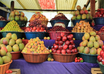 El impacto económico más notable del crédito Tob'anik se ha registrado en los cultivos frutales. / Foto: MAGA