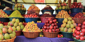 El impacto económico más notable del crédito Tob'anik se ha registrado en los cultivos frutales. / Foto: MAGA