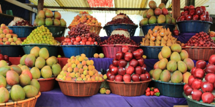 El impacto económico más notable del crédito Tob'anik se ha registrado en los cultivos frutales. / Foto: MAGA
