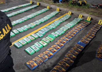 El hallazgo se produjo al inspeccionar un vehículo tipo picop, en el que se detectó el cargamento ilícito. / Foto: Mingob.