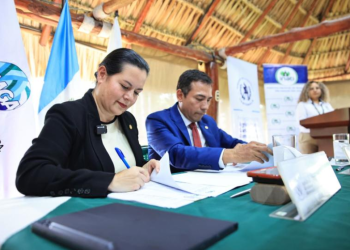 La cooperación entre el MAGA, INAB y el BID refleja el compromiso del Gobierno de Guatemala con el manejo sostenible de los recursos naturales. / Foto: MAGA
