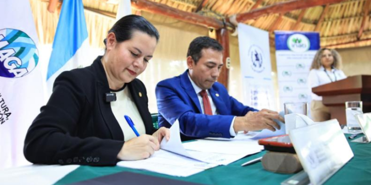 La cooperación entre el MAGA, INAB y el BID refleja el compromiso del Gobierno de Guatemala con el manejo sostenible de los recursos naturales. / Foto: MAGA