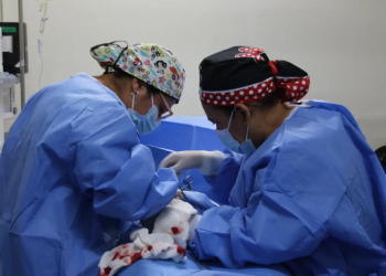 Hospital Nacional de Amatitlán realizó más de 90 cirugías Pomeroy. (Foto: MSPAS)