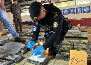 Las fuerzas de seguridad del país han propinado un impacto contundente al narcotráfico. / Foto: Mingob.
