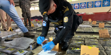 Las fuerzas de seguridad del país han propinado un impacto contundente al narcotráfico. / Foto: Mingob.